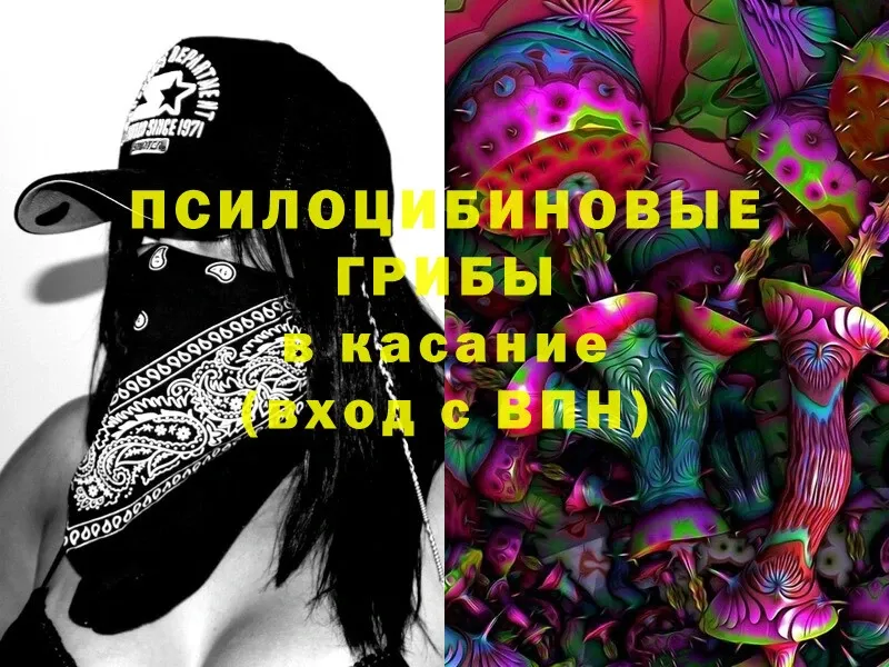 Псилоцибиновые грибы Cubensis  где продают   Семикаракорск 